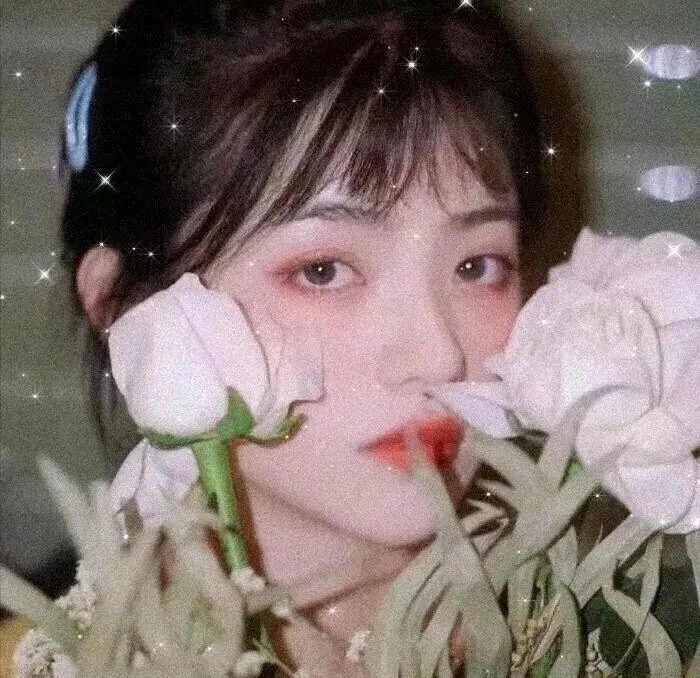 爱情灵药